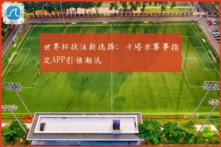 世界杯投注新选择：卡塔尔赛事指定APP引领潮流