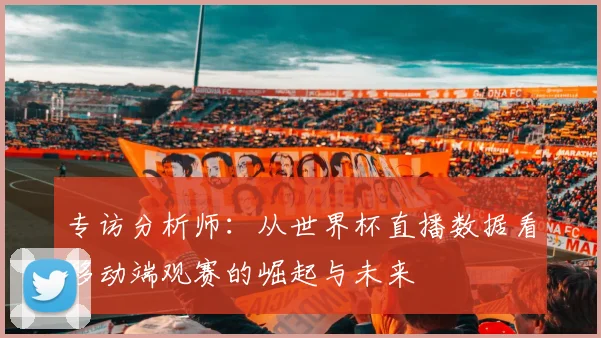 专访分析师：从世界杯直播数据看移动端观赛的崛起与未来