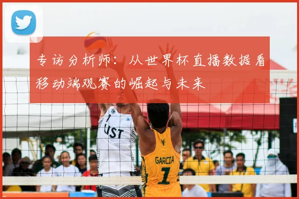 专访分析师：从世界杯直播数据看移动端观赛的崛起与未来